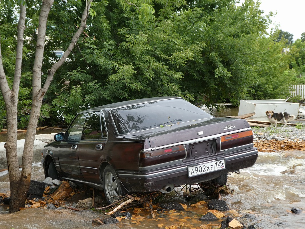 Приморский край, № А 902 ХР 125 — Nissan (Общая модель)