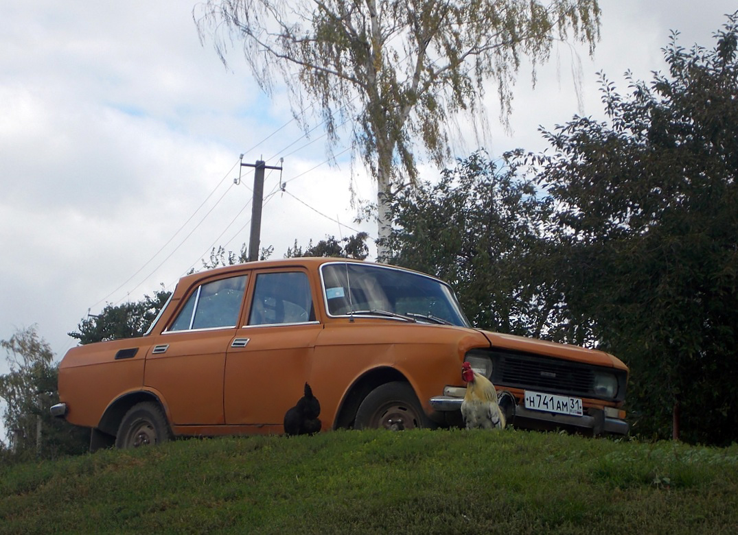 Белгородская область, № Н 741 АМ 31 — Москвич-2140 '76-88