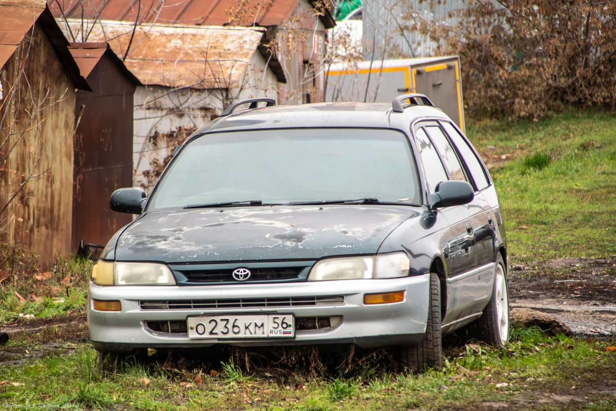 Башкортостан, № О 236 КМ 56 — Toyota Corolla (E100) '91-02; Оренбургская область — Вне региона