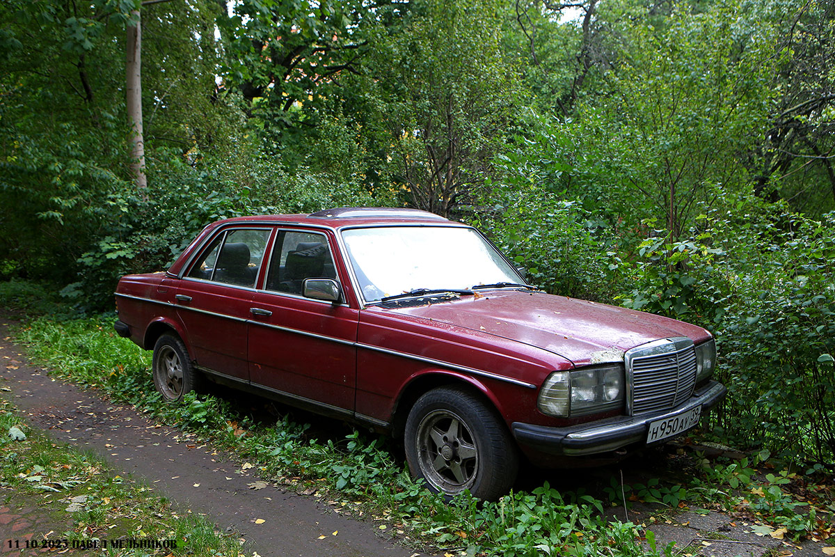 Калининградская область, № Н 950 АУ 39 — Mercedes-Benz (W123) '76-86