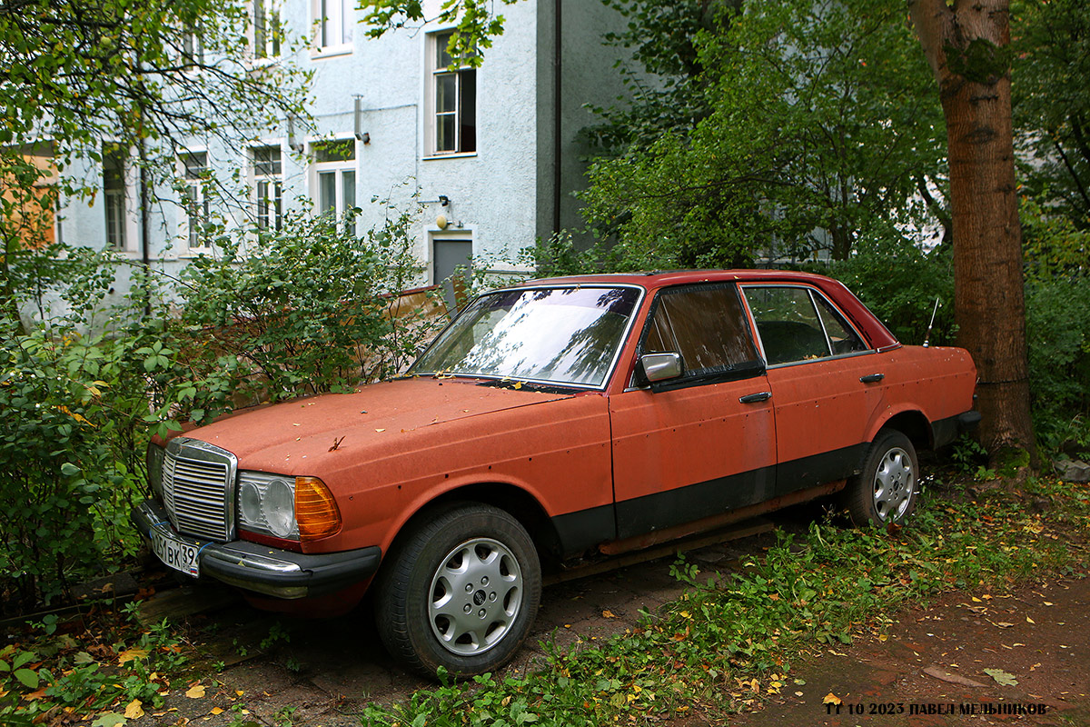 Калининградская область, № Е 251 ВК 39 — Mercedes-Benz (W123) '76-86