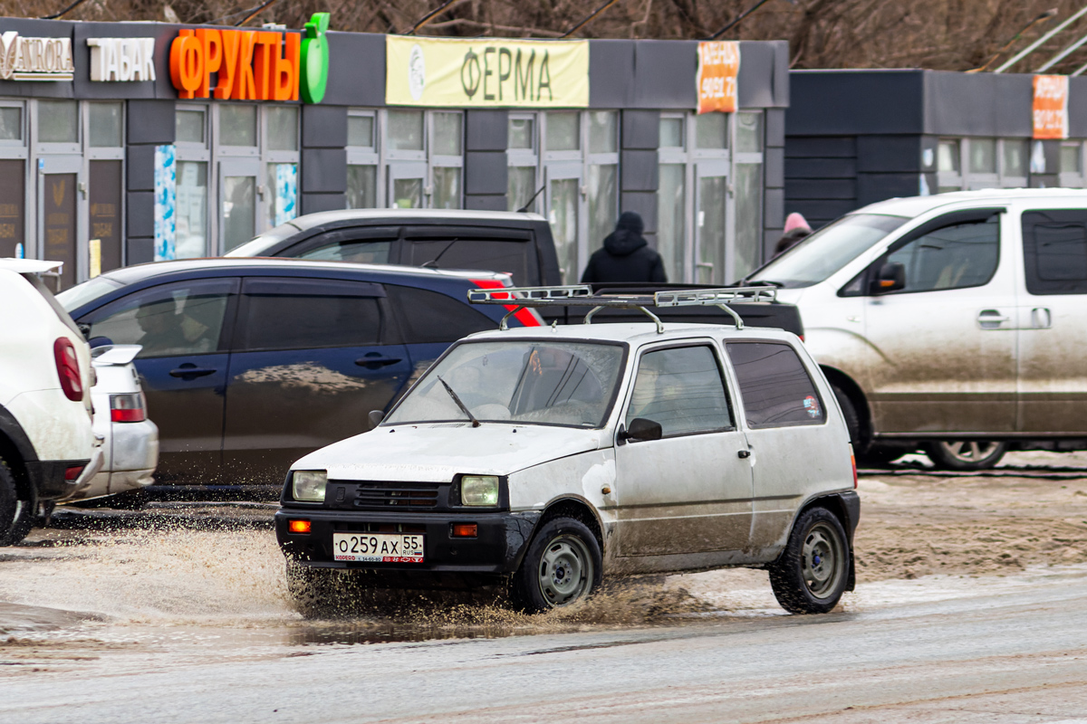 Омская область, № О 259 АХ 55 — ВАЗ-1111 Oка (ЗМА) '88-06