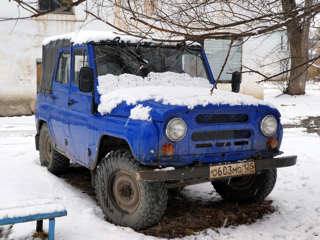 Приморский край, № О 603 МО 125 — УАЗ-31512 '85-03