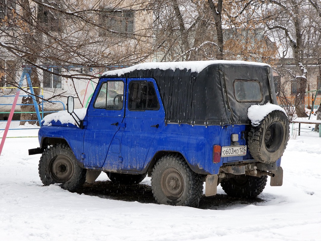 Приморский край, № О 603 МО 125 — УАЗ-31512 '85-03