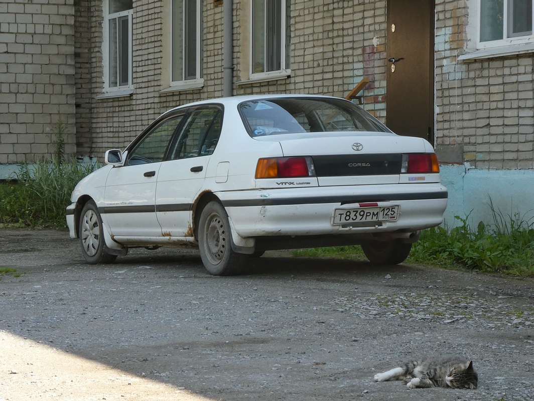 Приморский край, № Т 839 РМ 125 — Toyota Corsa (L40) '90–94