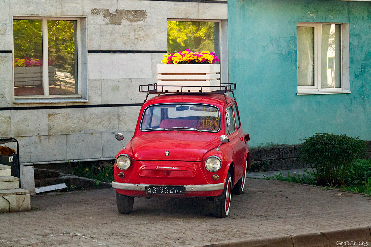 Башкортостан, № 43-96 БАК — ЗАЗ-965А Запорожец '62-69