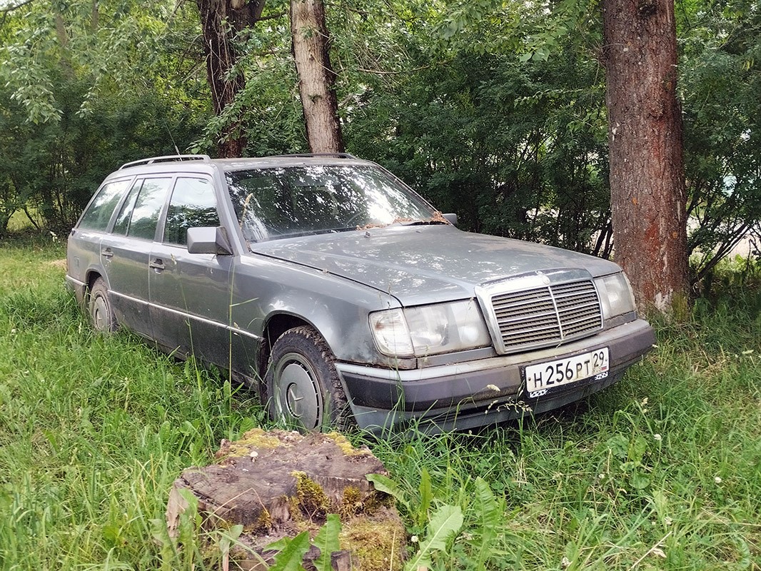 Архангельская область, № Н 256 РТ 29 — Mercedes-Benz (S124) '86-96