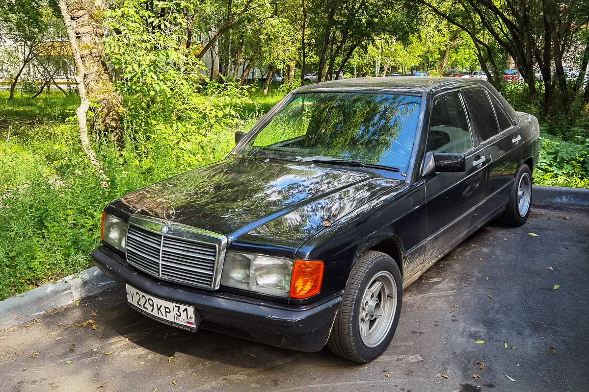 Белгородская область, № У 229 КР 31 — Mercedes-Benz (W201) '82-93