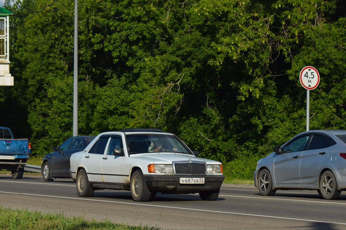 Алтайский край, № Н 687 ЕВ 22 — Mercedes-Benz (W201) '82-93