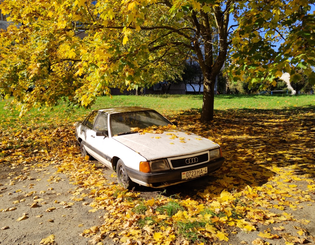 Гродненская область, № 0723 НА-4 — Audi 100 (C3) '82-91