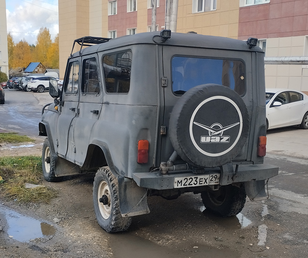 Архангельская область, № М 223 ЕХ 29 — УАЗ-31512 '85-03