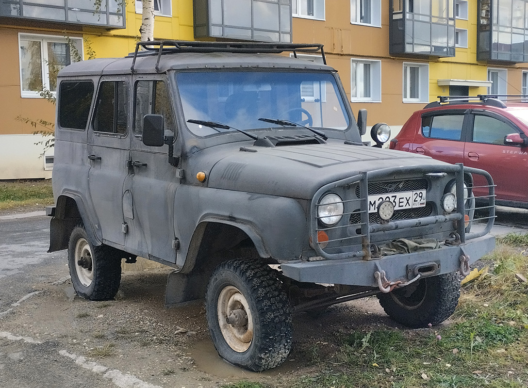 Архангельская область, № М 223 ЕХ 29 — УАЗ-31512 '85-03