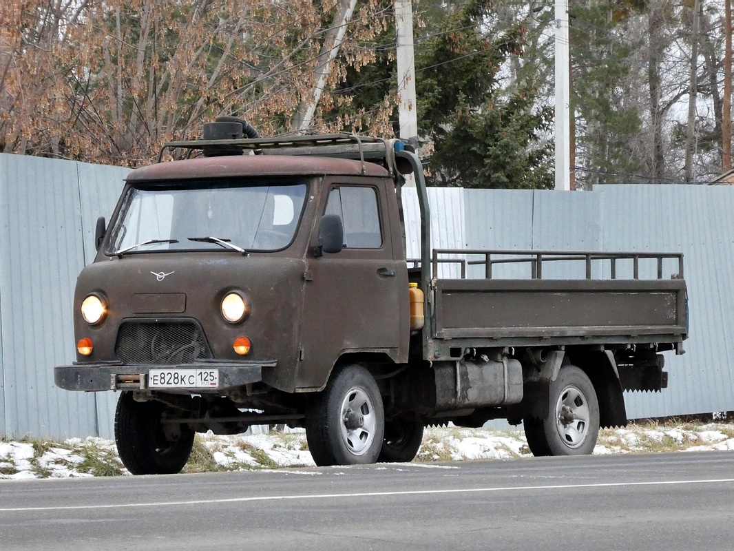 Приморский край, № Е 828 КС 125 — УАЗ-3303 '85-03