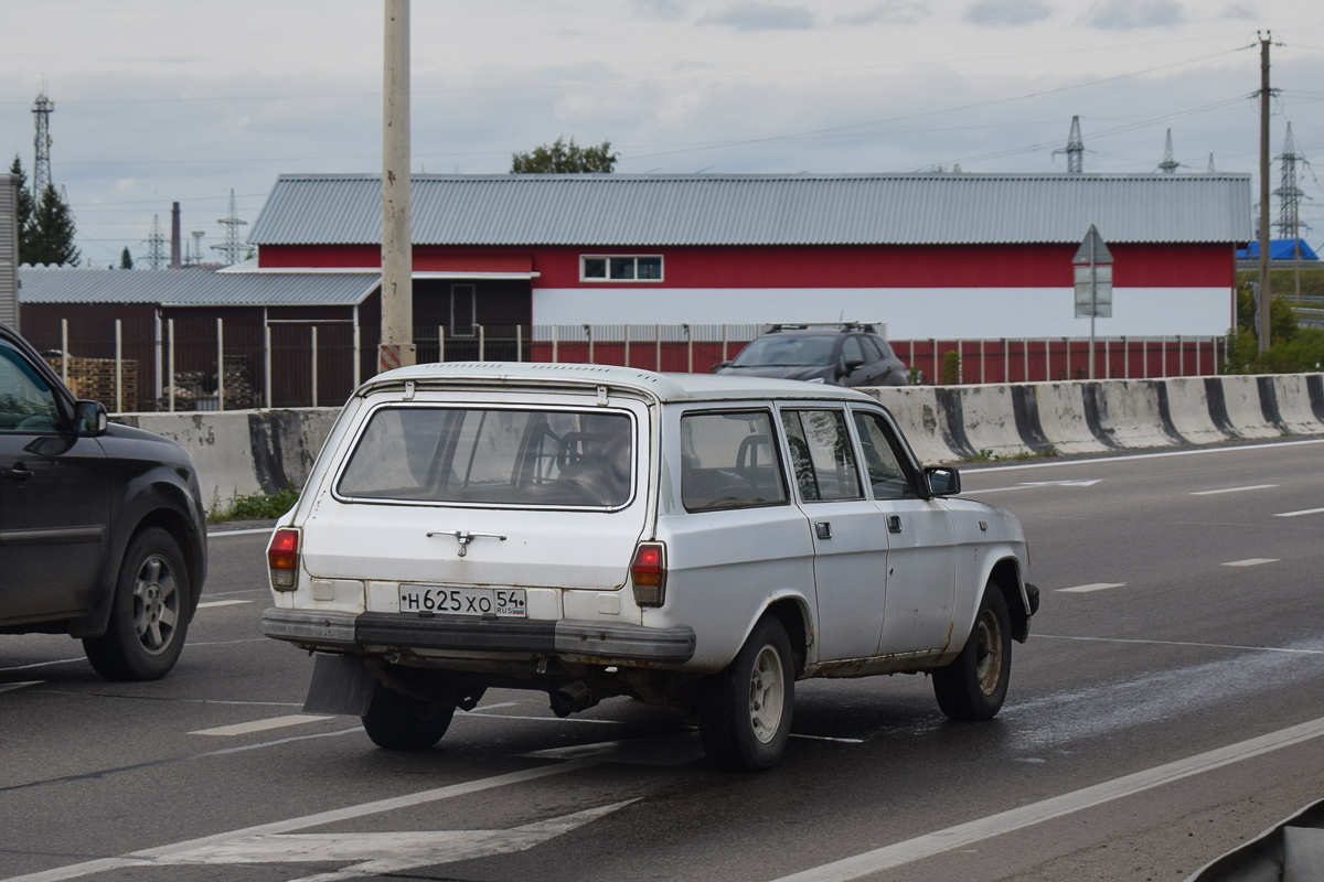 Алтайский край, № Н 625 ХО 54 — ГАЗ-31022 '93-98