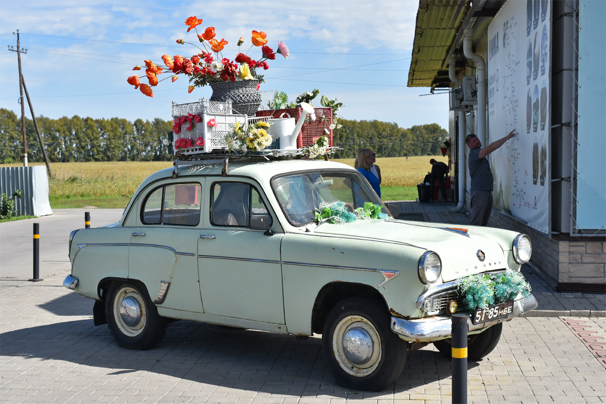 Алтайский край, № 51-85 НБЕ — Москвич-403 '62-65