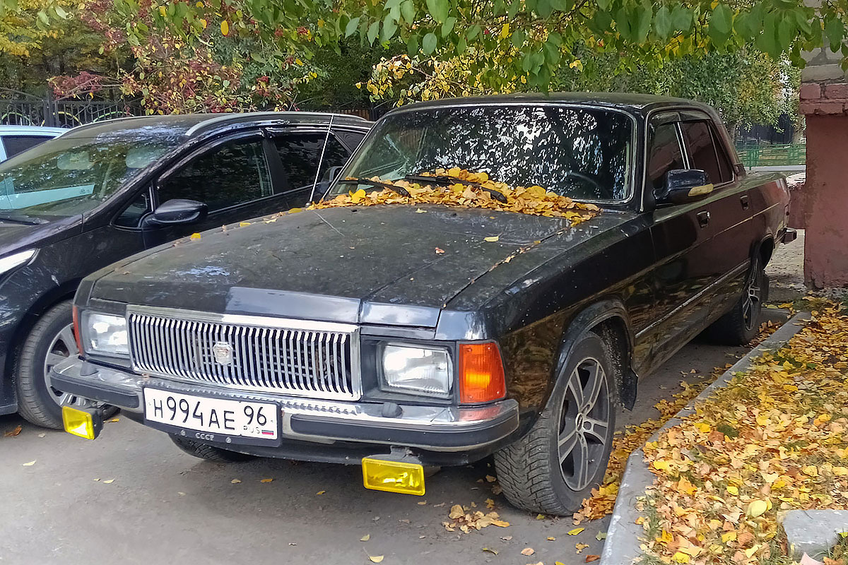 Тюменская область, № Н 994 АЕ 96 — ГАЗ-3102 Волга '81-08