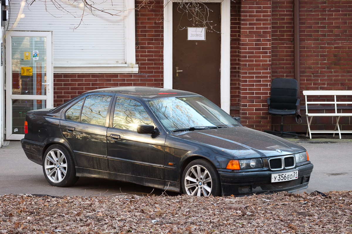Белгородская область, № У 356 ЕО 31 — BMW 3 Series (E36) '90-00