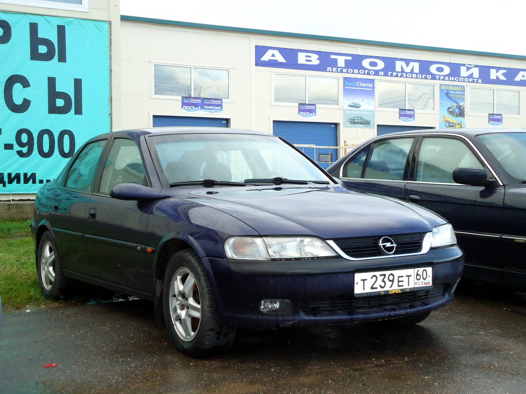 Псковская область, № Т 239 ЕТ 60 — Opel Vectra (B) '95-02
