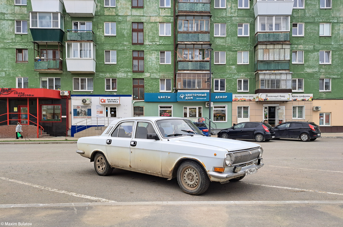 Свердловская область, № Е 294 НУ 96 — ГАЗ-24-10 Волга '85-92