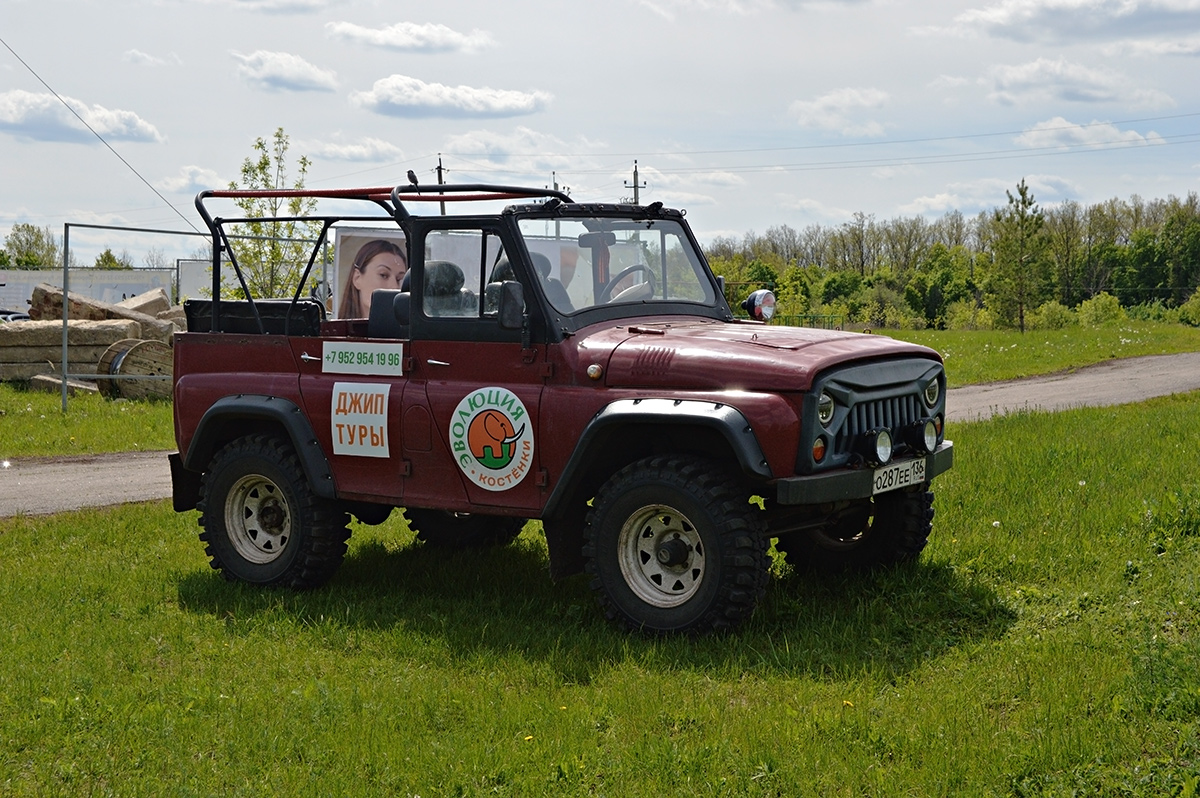 Воронежская область, № О 287 ЕЕ 136 — УАЗ-31512 '85-03