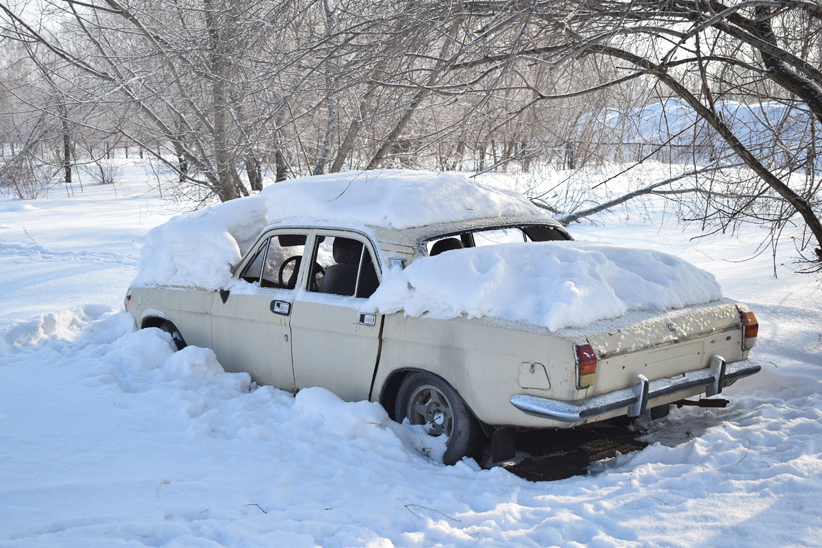 Алтайский край, № (22) Б/Н 0122 — ГАЗ-24-10 Волга '85-92; Транспортные средства без номеров (Алтайский край)