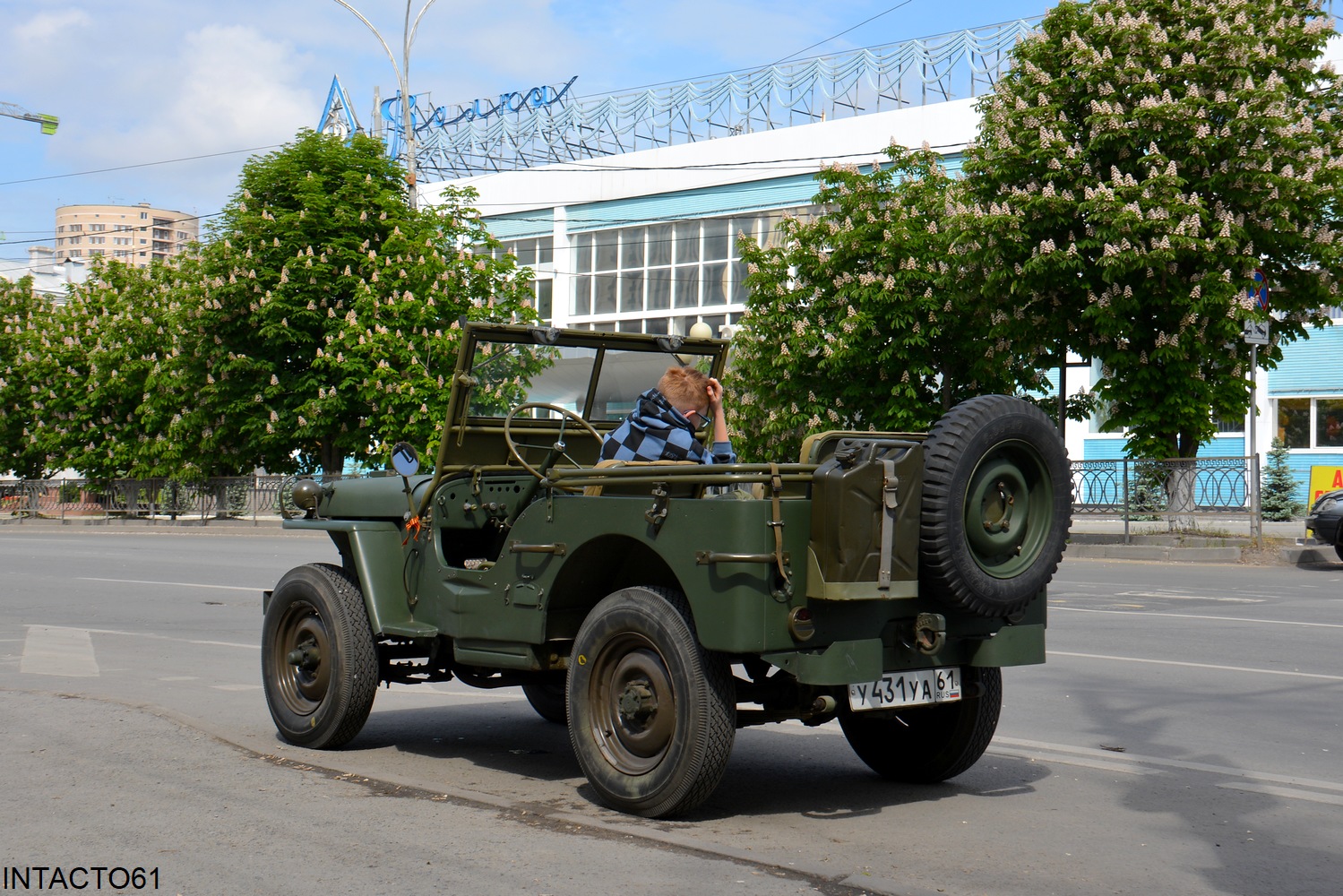 Ростовская область, № У 431 УА 61 — Willys MB '41-45; Ростовская область — 9 Мая Ростов-на-Дону 2025 г.
