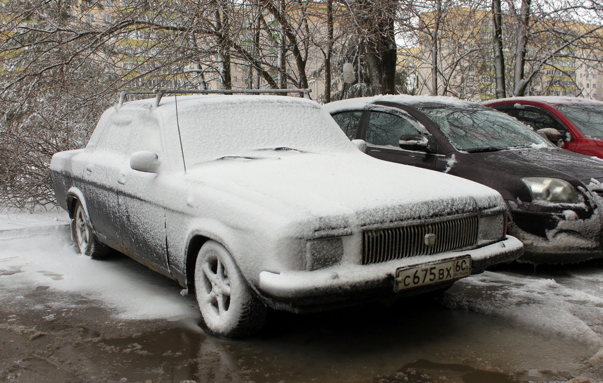 Псковская область, № С 675 ВХ 60 — ГАЗ-3102 Волга '81-08