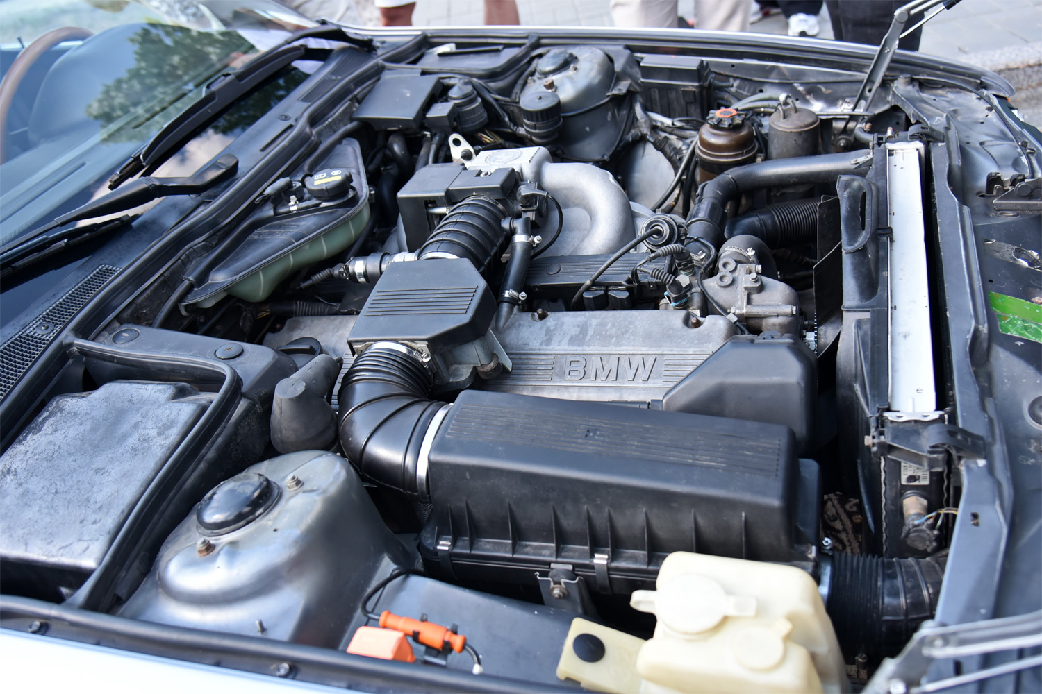 Тюменская область, № Х 800 ЕК 72 — BMW 7 Series (E32) '86-94; Тюменская область — Фестиваль "ФанКульт Привет"-2025