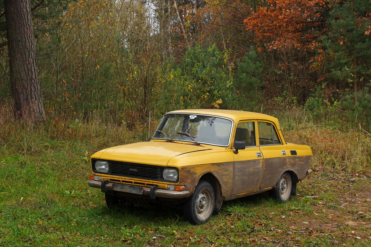 Литва, № (LT) U/N 0100 — Москвич-2140 '76-88