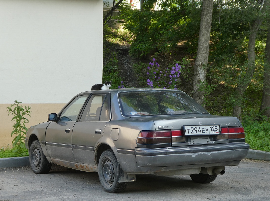 Приморский край, № Т 294 ЕУ 125 — Toyota Corona (T170) '87-93