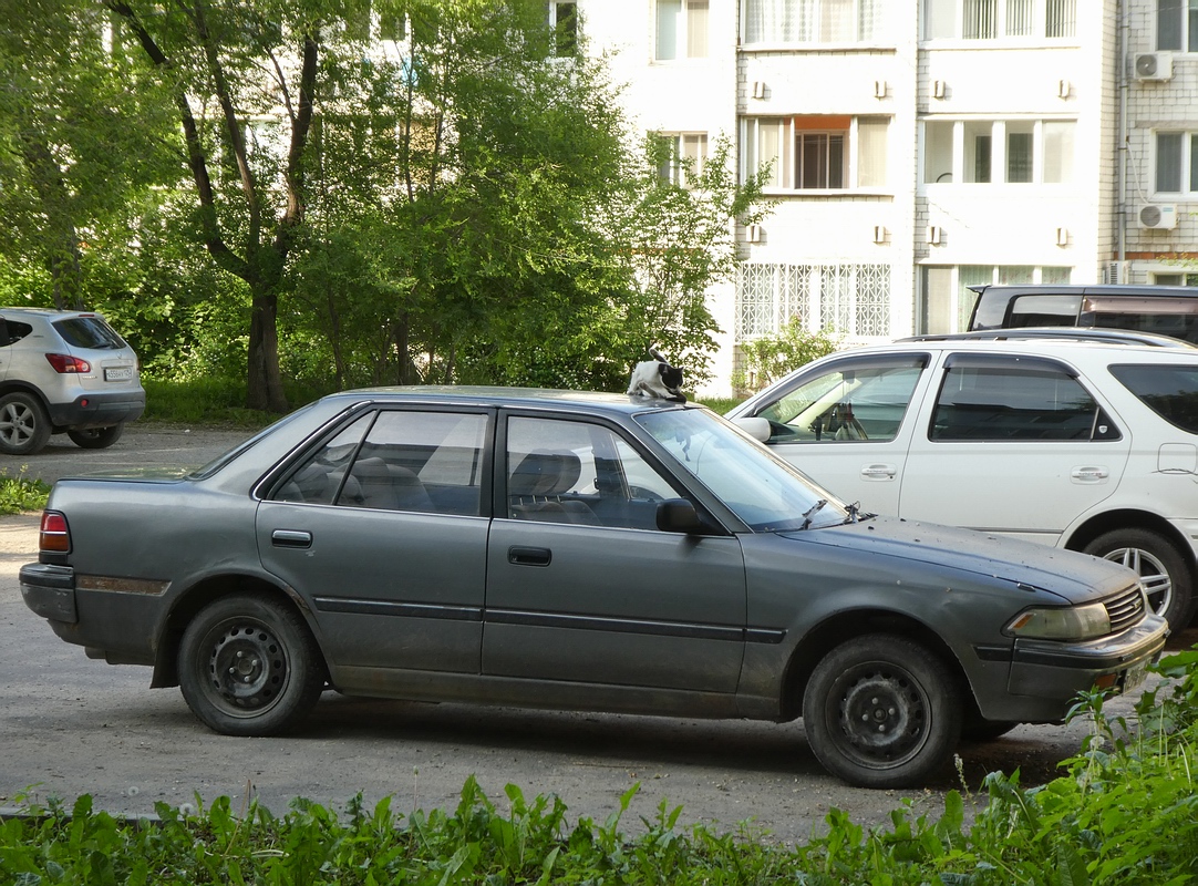 Приморский край, № Т 294 ЕУ 125 — Toyota Corona (T170) '87-93