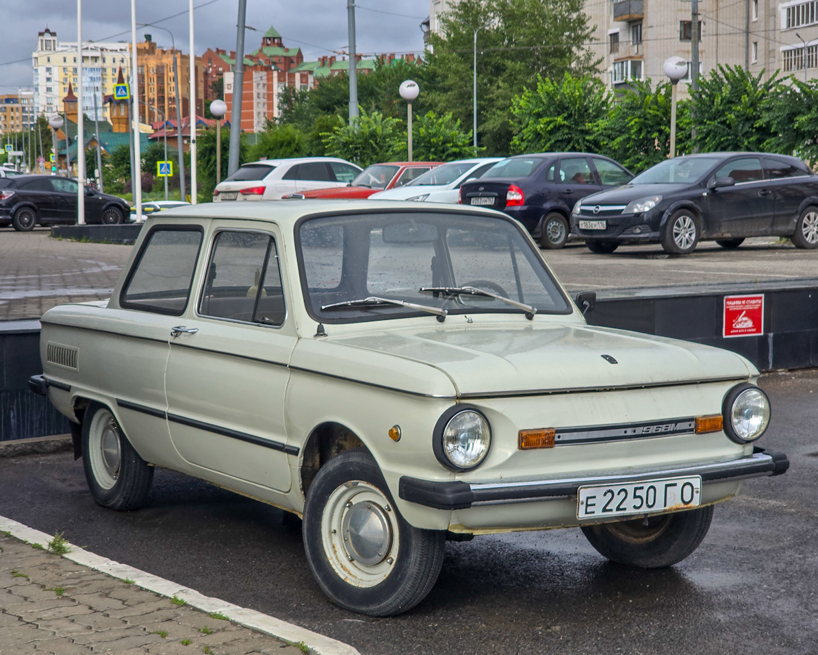 Нижегородская область, № Е 2250 ГО — ЗАЗ-968М Запорожец '79-94; Нижегородская область — Вне региона