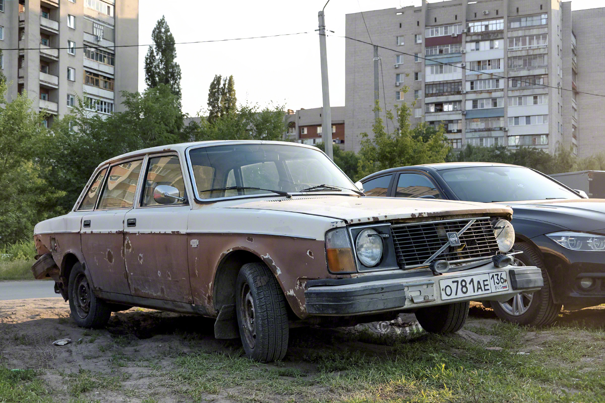 Воронежская область, № О 781 АЕ 136 — Volvo 244 GL '75-78