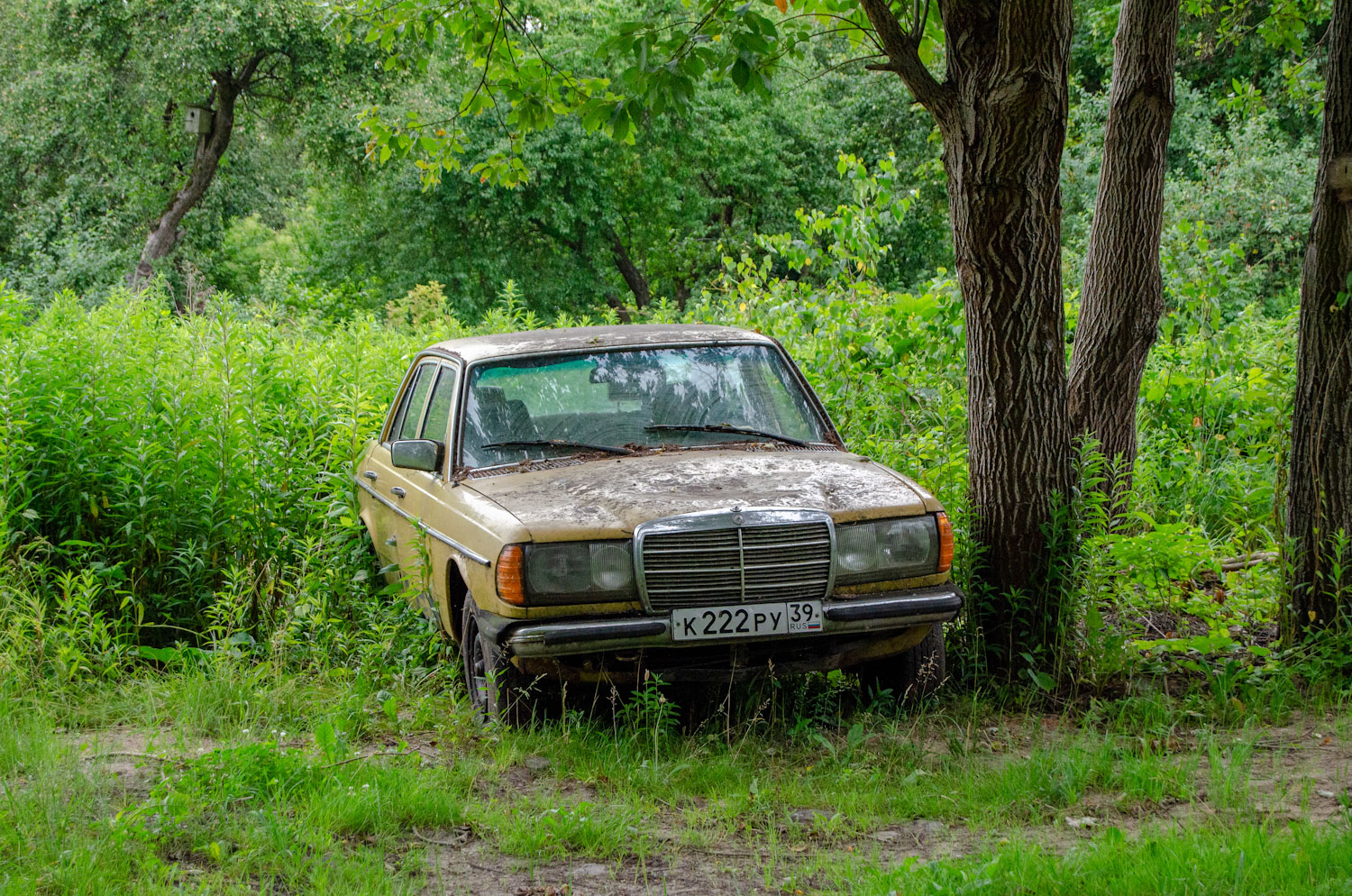 Калининградская область, № К 222 РУ 39 — Mercedes-Benz (W123) '76-86