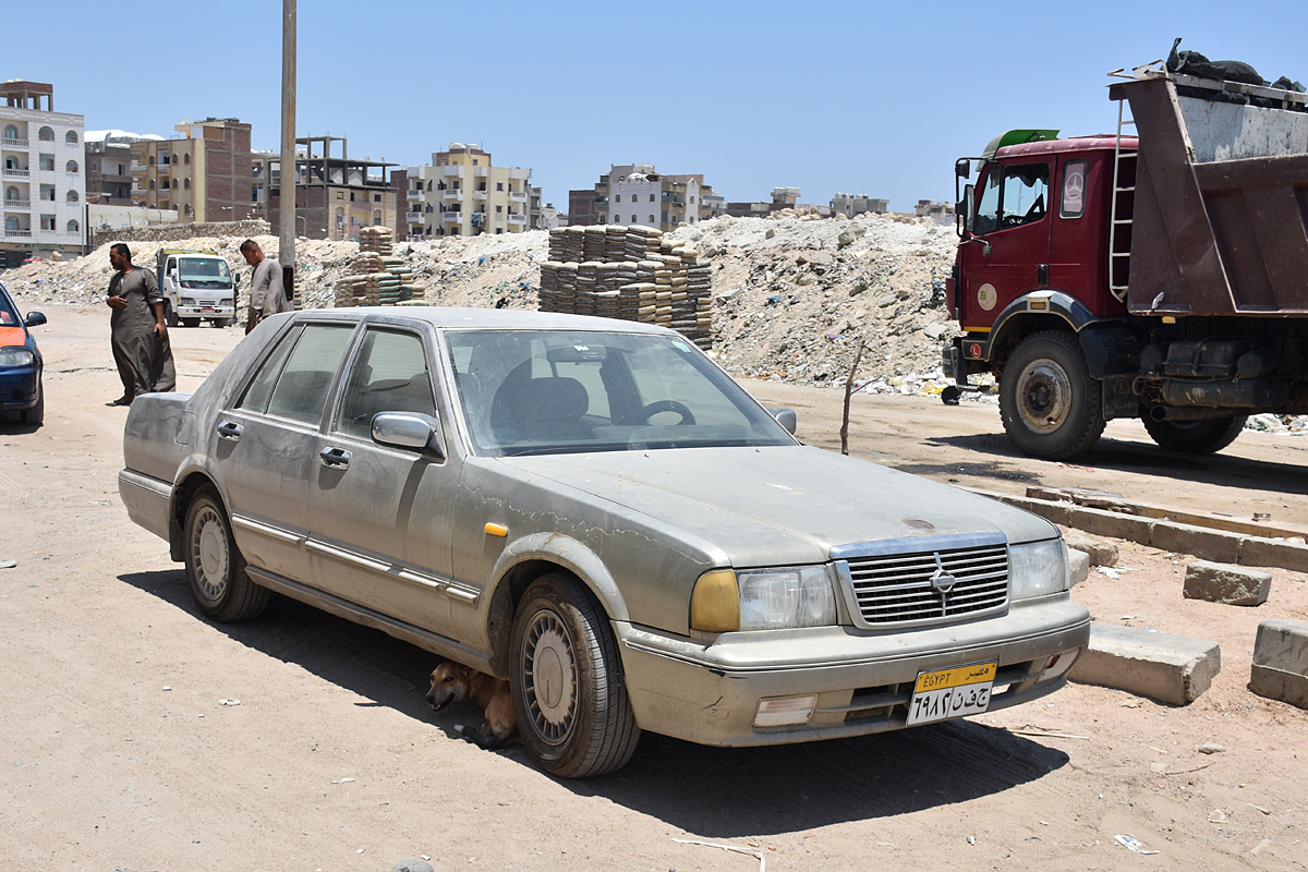 Египет, № 6982 NFG — Nissan Cedric (Y31) facelift '91-14