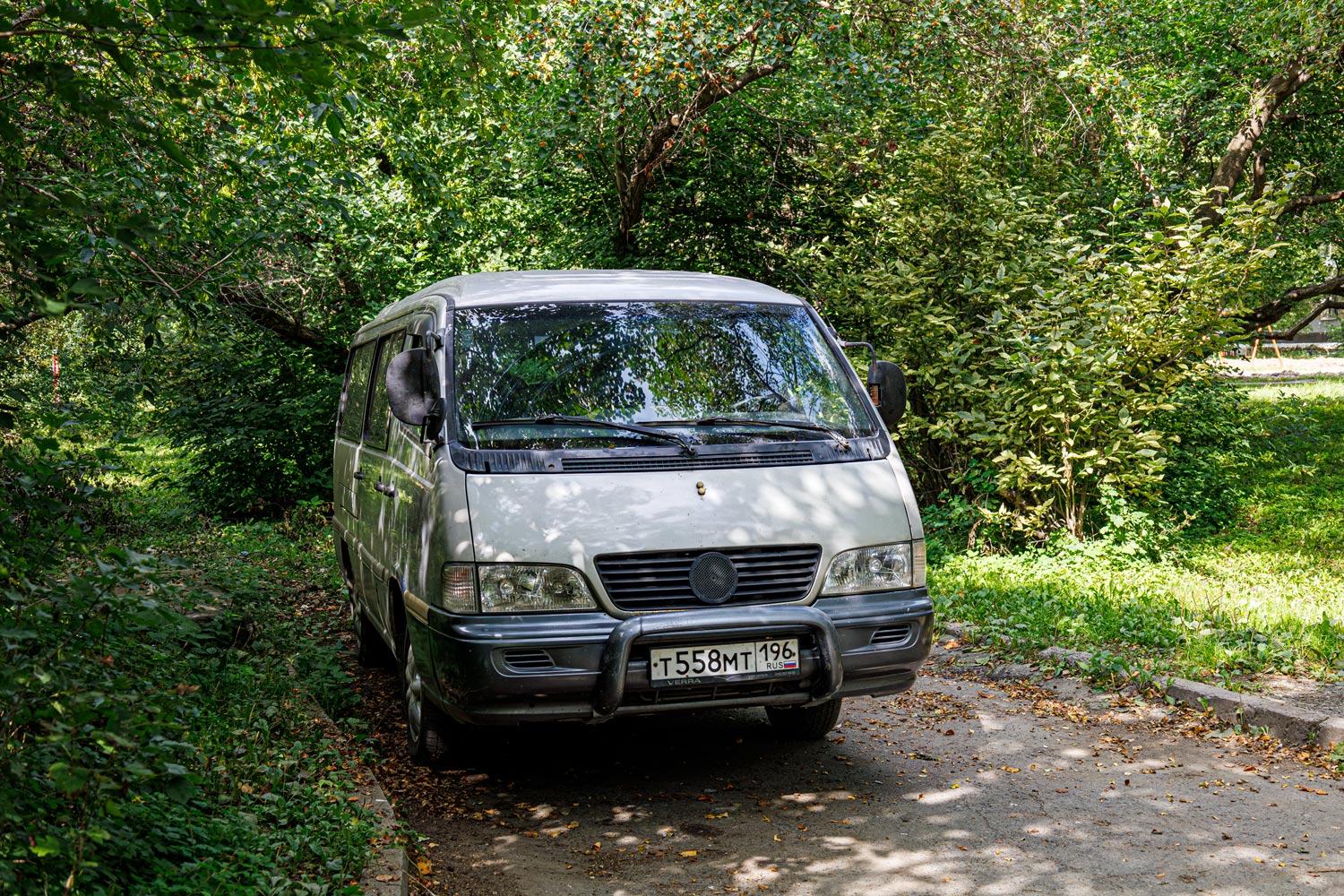 Свердловская область, № Т 558 МТ 196 — SsangYong Istana (1G) 95-04