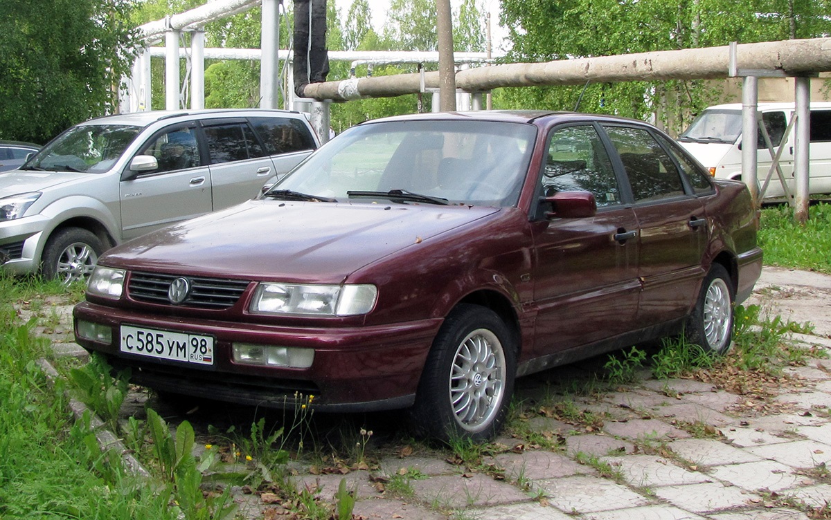 Архангельская область, № С 585 УМ 98 — Volkswagen Passat (B4) '93-97; Санкт-Петербург — Вне региона
