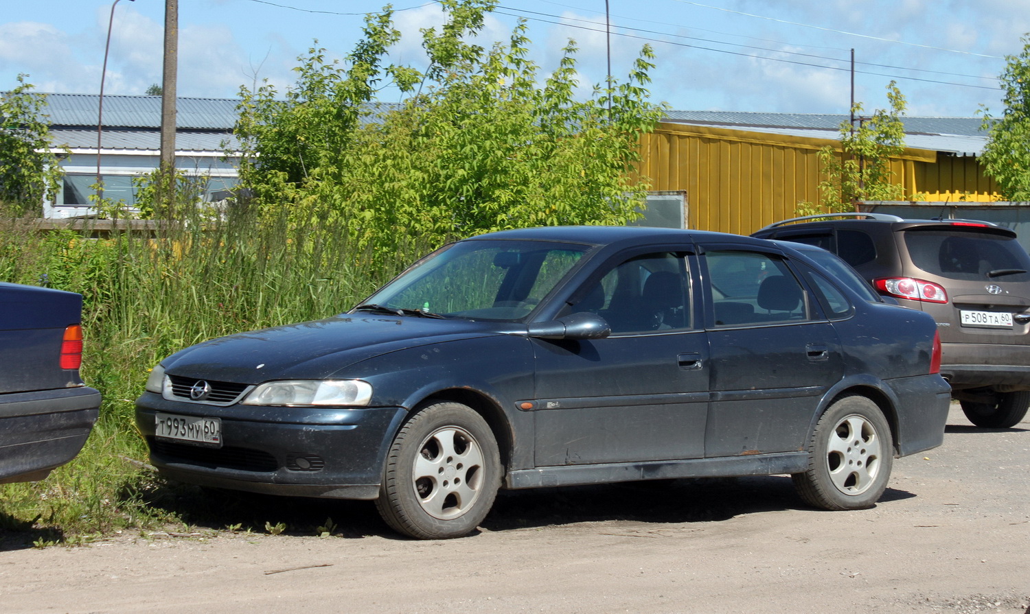 Псковская область, № Т 993 МУ 60 — Opel Vectra (B) '95-02
