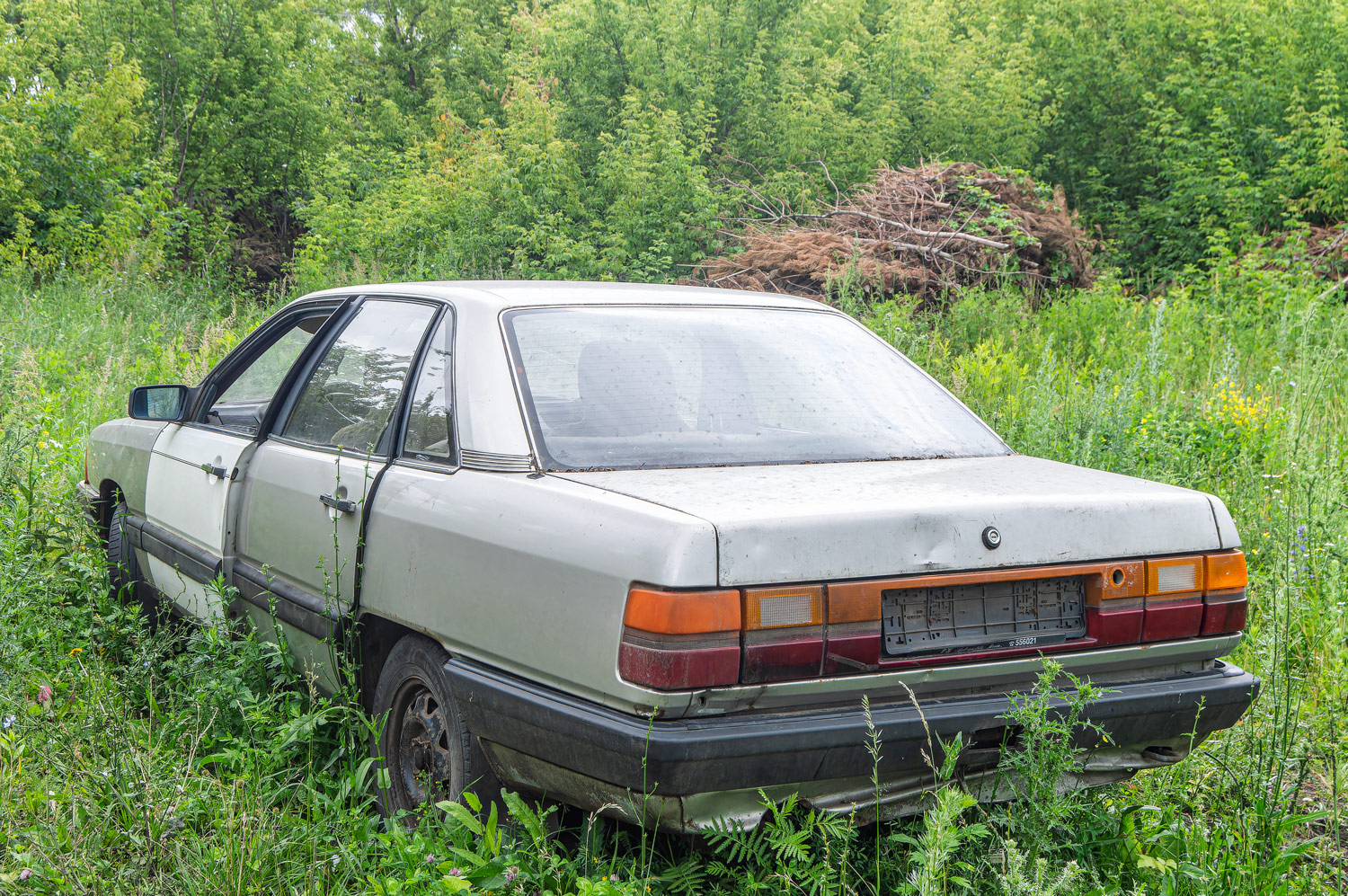 Пензенская область, № (58) Б/Н 0051 — Audi 100 (C3) '82-91; Транспортные средства без номеров (Пензенская область)