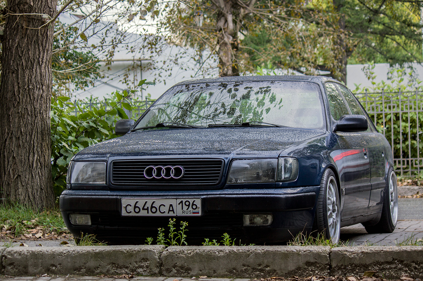 Свердловская область, № С 646 СА 196 — Audi 100 (C4) '90-94