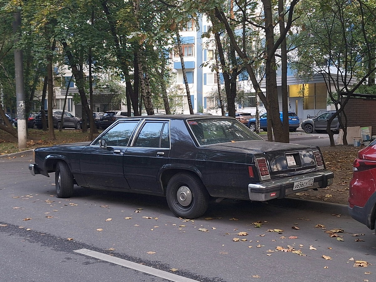 Москва, № А 656 СУ 177 — Ford LTD Crown Victoria '80-91
