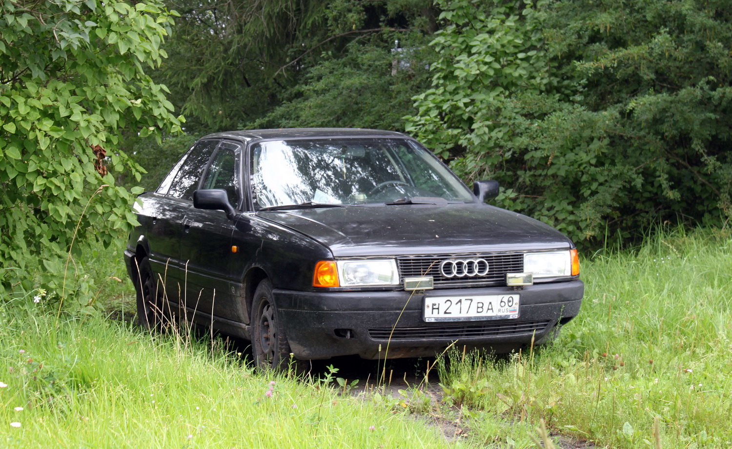 Псковская область, № Н 217 ВА 60 — Audi 80 (B3) '86-91