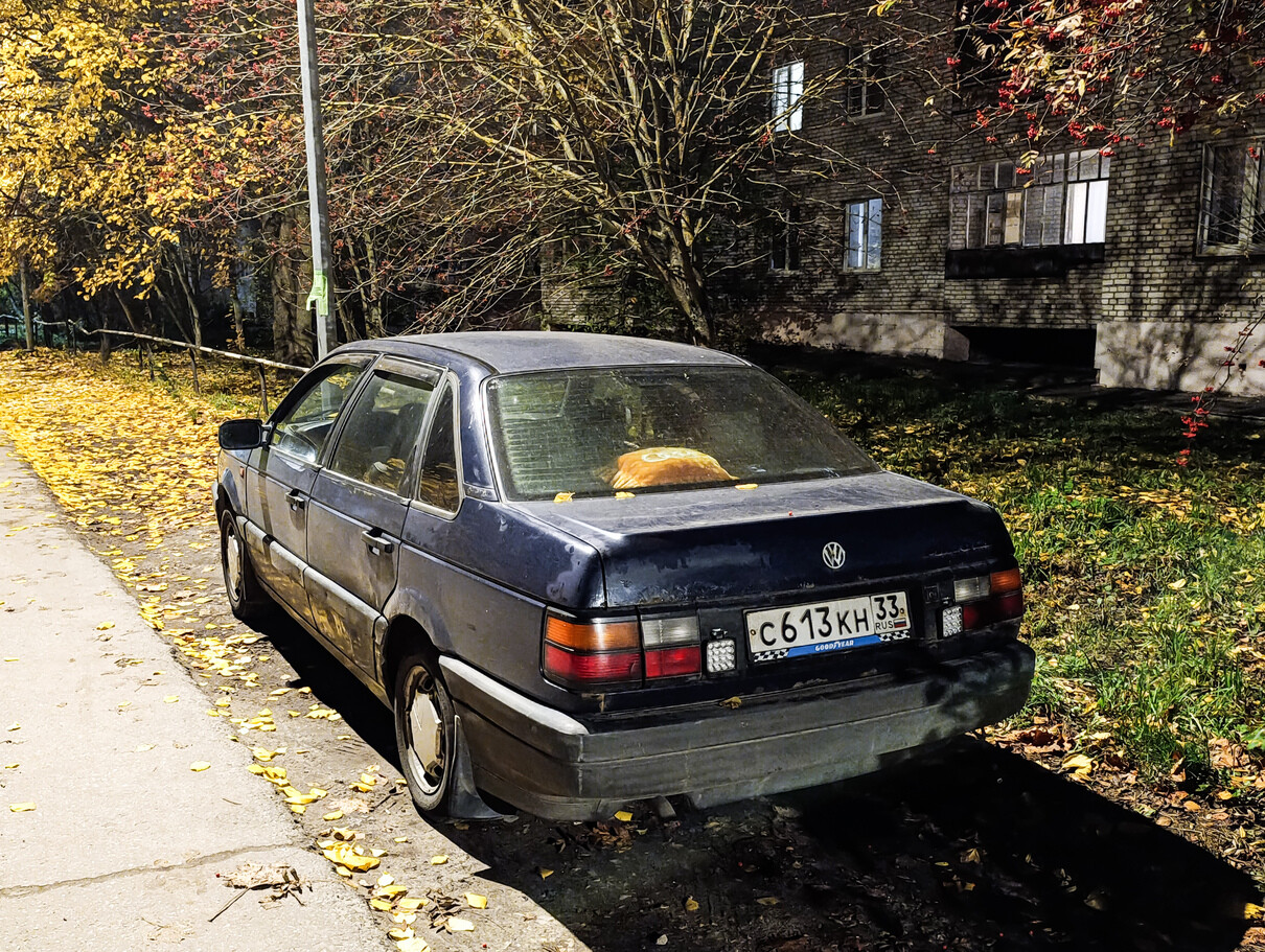 Владимирская область, № С 613 КН 33 — Volkswagen Passat (B3) '88-93