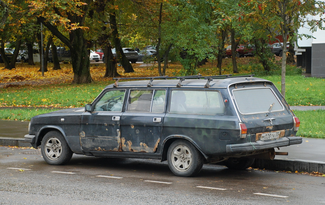 Владимирская область, № М 028 ТК 33 — ГАЗ-310221 '98-08