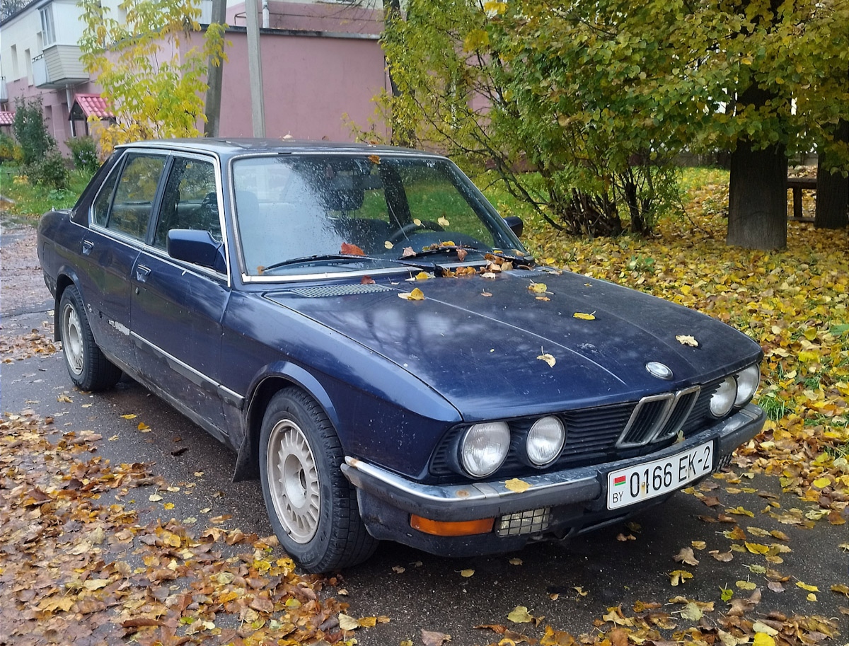 Витебская область, № 0166 ЕК-2 — BMW 5 Series (E28) '82-88