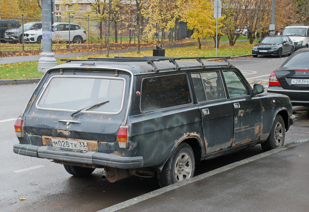 Владимирская область, № М 028 ТК 33 — ГАЗ-310221 '98-08