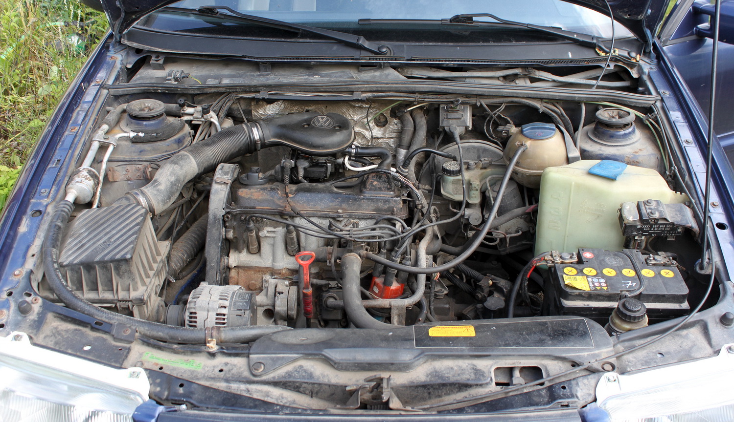 Псковская область, № Т 020 ЕЕ 60 — Volkswagen Passat Variant (B4) '93-97
