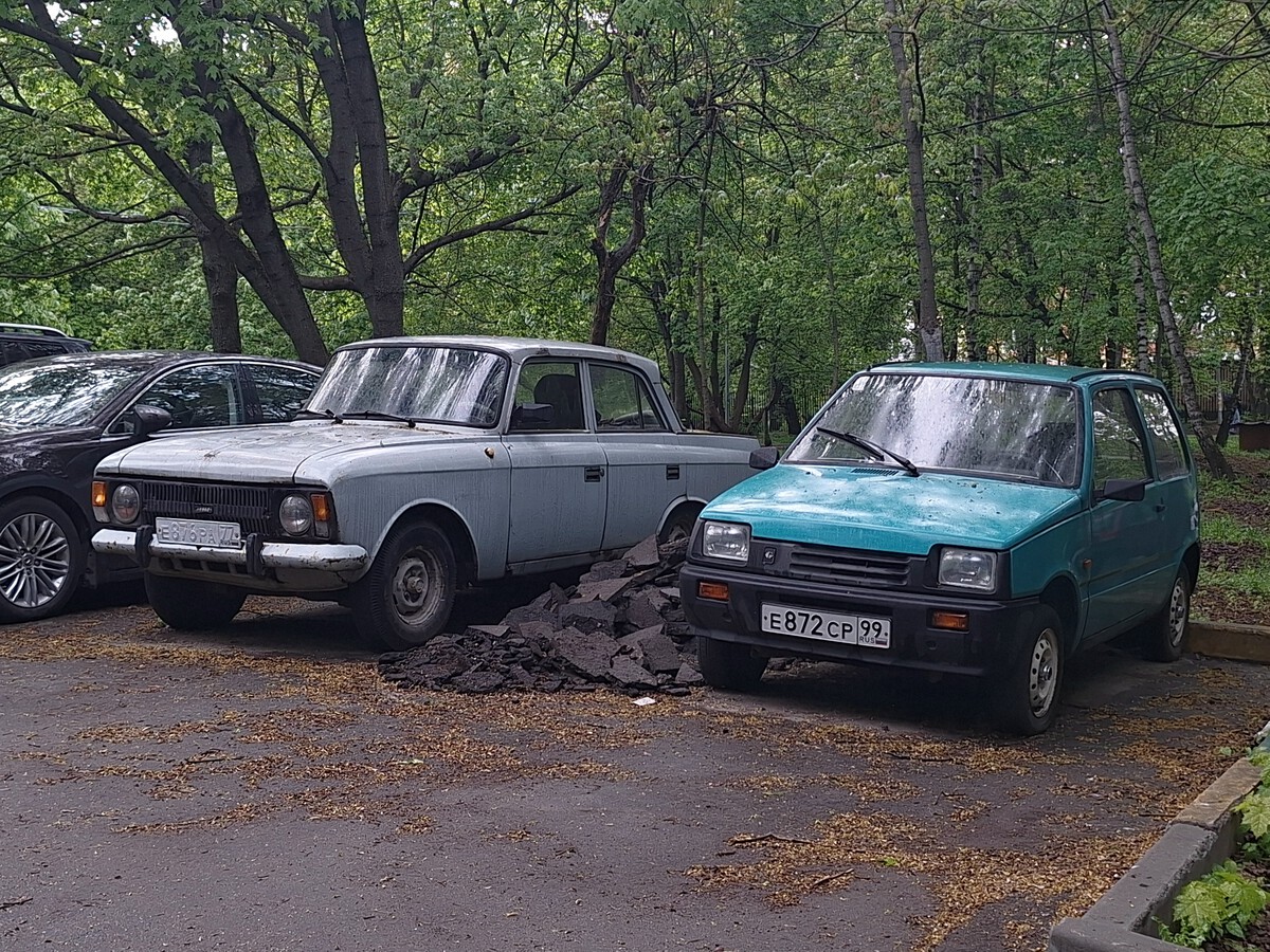 Москва, № Е 876 РА 77 — Москвич-412ИЭ-028 (Иж) '82-01; Москва, № Е 872 СР 99 — СеАЗ-11113-02 '96-08