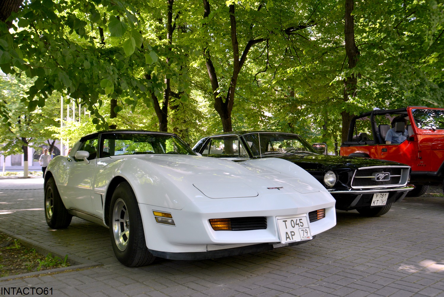 Ростовская область, № Т 045 АР 79 — Chevrolet Corvette (C3) '68-82; Ростовская область — Retro Motor Show_2023_Май