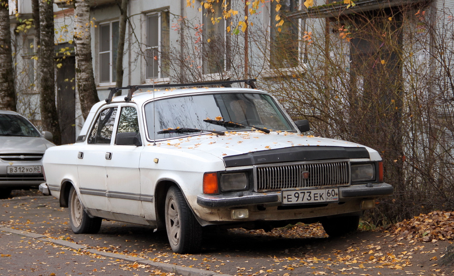 Псковская область, № Е 973 ЕК 60 — ГАЗ-3102 Волга '81-08